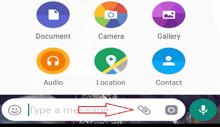 Transformar e mandar Gif Whatsapp